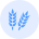 規(guī)劃建設(shè)