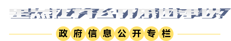 重點任務(wù)公開承諾事項圖標(biāo)