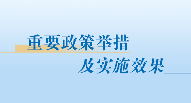 重要政策舉措及實施效果